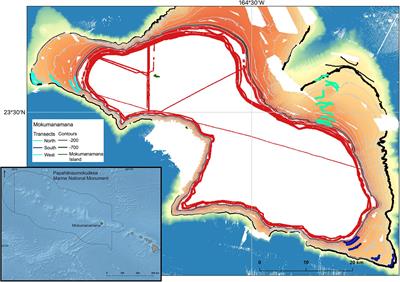 Fine Scale Assemblage Structure of Benthic Invertebrate Megafauna on the North Pacific Seamount Mokumanamana